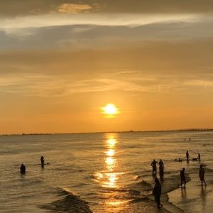 Meet your Posher, Bella